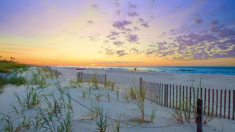 Sandy beach with sea grass and wooden fencing at sunrise along the ocean.