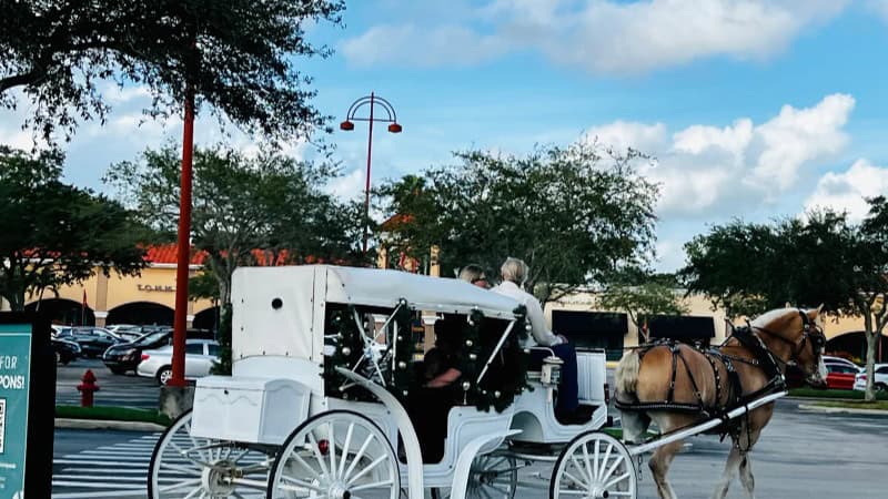 Horse-drawn carriage ride through sunny city streets on a bright day